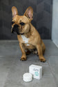 Soap Free - Pet Wash